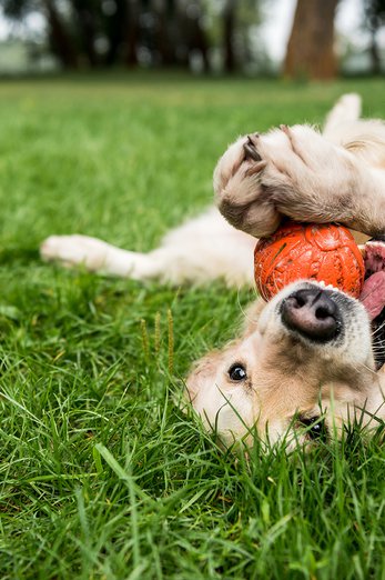 exterior view at Meadowview located in Greensboro, NC